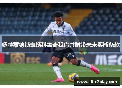 多特蒙德锁定扬科维奇租借并附带未来买断条款