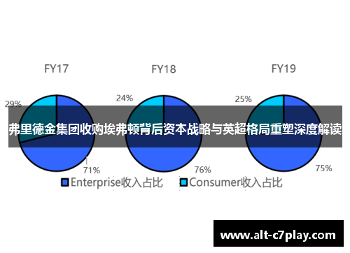 弗里德金集团收购埃弗顿背后资本战略与英超格局重塑深度解读 弗里德金集团收购埃弗顿背后资本战略与英超格局重塑深度解读
