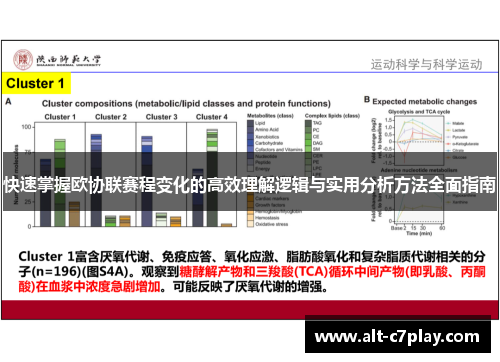 快速掌握欧协联赛程变化的高效理解逻辑与实用分析方法全面指南 快速掌握欧协联赛程变化的高效理解逻辑与实用分析方法全面指南