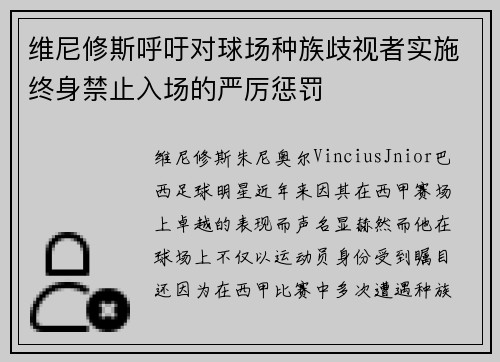 维尼修斯呼吁对球场种族歧视者实施终身禁止入场的严厉惩罚